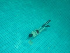 -重庆市奥林匹克体育中心-游泳跳水馆