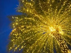 -园里火锅(仁和新城店)