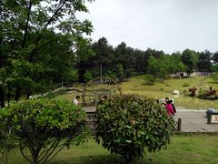 -铁山坪森林公园