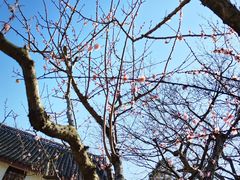 -南通博物苑-崇川人民公园