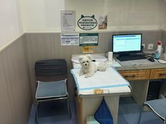 -佑安动物医院·全科·内窥镜中心(幸福巷店)