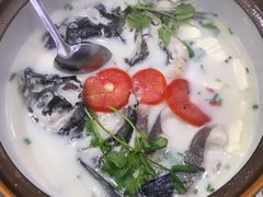 -全乐鱼馆·淳牌有机鱼直营店