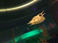 -常州海昌海洋探索馆