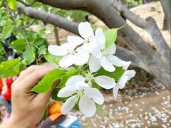 -元大都城垣遗址公园