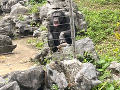 -南宁市动物园