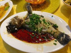 老虎斑-老字号蛇口德记烧腊饭店·海鲜加工