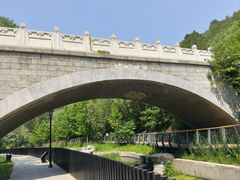 -白水寺森林公园
