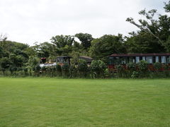 -济州森林小火车生态公园