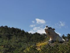 -乌素图国家森林公园