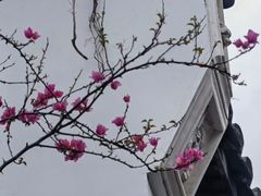 -乌山风景区