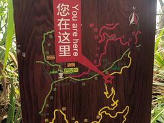 -梧桐山风景名胜区