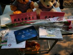-上海市实验学校