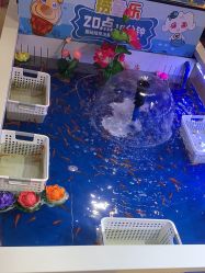 -卡通尼乐园(上海安亭店)
