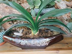 -茶油香闽南菜·花园餐厅(前埔店)