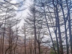 -崂山巨峰游览区