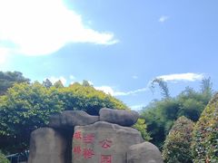 -古榕公园