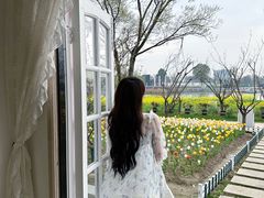 -杭州湾海上花田景区