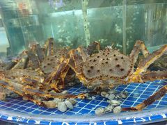 -老船长海鲜大排档(集美店)