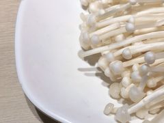 -老板恋上鱼(高新万达店)