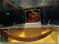 -金沙遗址博物馆