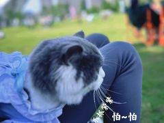 -杭州城北体育公园