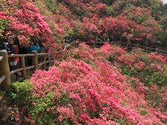-木兰云雾山