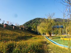 -石燕湖生态旅游景区
