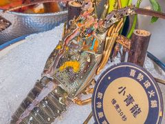 -喜聚薈·花膠雞海鮮火鍋(越秀店)