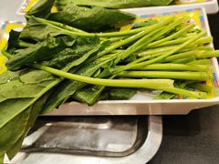 -芦月轩羊蝎子(北蜂窝店)