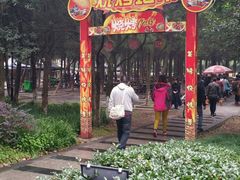-白马涧龙池景区