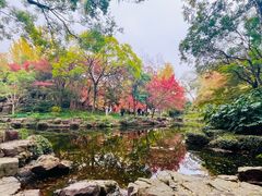 -秋霞圃