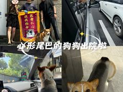 -申普宠物医院(总院)