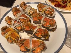 -杨氏青龙虾·羊蝎子(托乐嘉店)