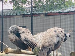 -维乐口腔医院(福清院)