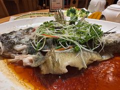 清蒸笋壳鱼-德胜轩正宗顺德菜(宝安沙井会展中心店)