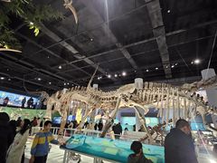 -国家自然博物馆