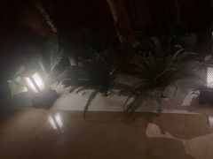 -紫莲花足道(柯桥古镇店)