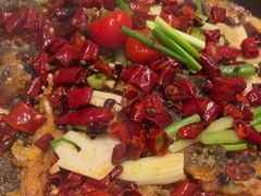 -老板恋上鱼(恒隆广场店)