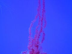 -沈阳海洋探索中心