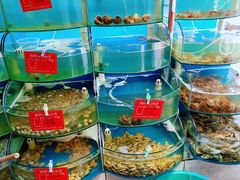 -晓伟海鲜家常菜