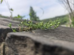 -虞山城墙