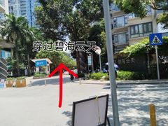 -华侨城湿地公园
