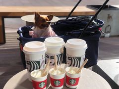 -星巴克(天津鲁能中心第三店)