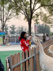 -萌宠亲子动物乐园(槐房万达店)