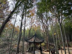 -虞山风景区