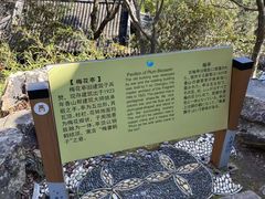 -香雪海