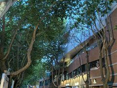 -西安电影制片厂