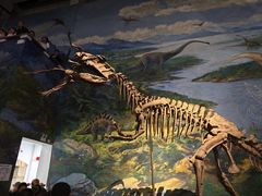 -自贡恐龙博物馆