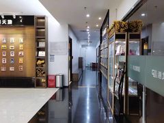 -港龙舞蹈·成人少儿舞蹈培训(深圳湾校区)