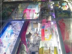 -花鸟鱼虫鲜花绿植市场(玉泉路店)